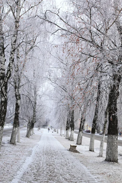 Staden gränd i vinter. — Stockfoto