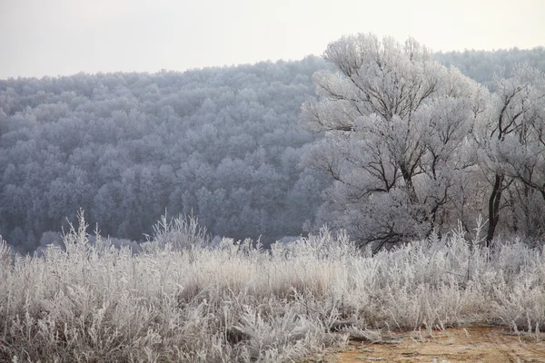 Paisaje invierno —  Fotos de Stock