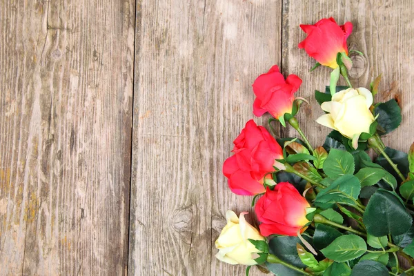 Schöne Rosen — Stockfoto