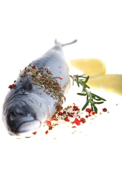 Raw fish with lemon and rosemary — Stock Photo, Image