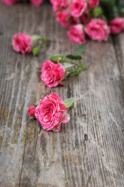 Bir buket pembe gül. 