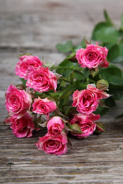 Bouquet of pink roses — Stock Photo, Image