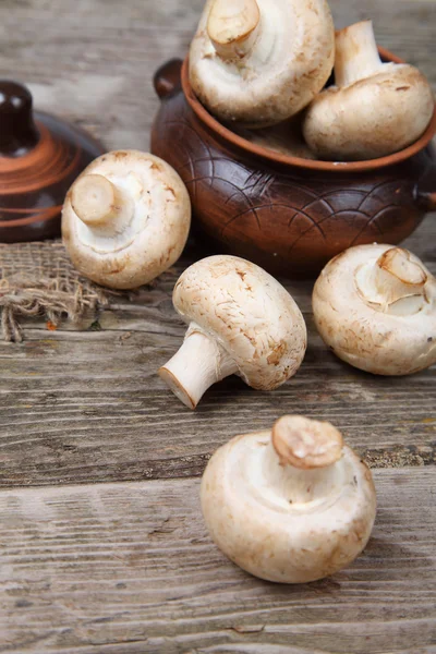 Funghi in una pentola di argilla — Foto Stock