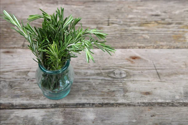 Rosemary — Stock Photo, Image