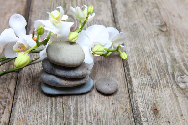 Zen stones a orchidej — Stock fotografie