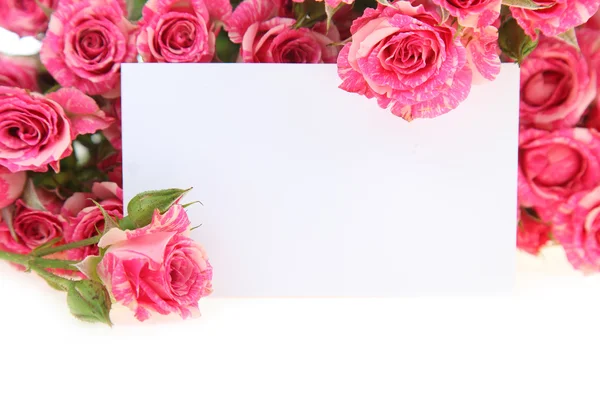 Rosas rosadas y tarjeta de felicitación — Foto de Stock