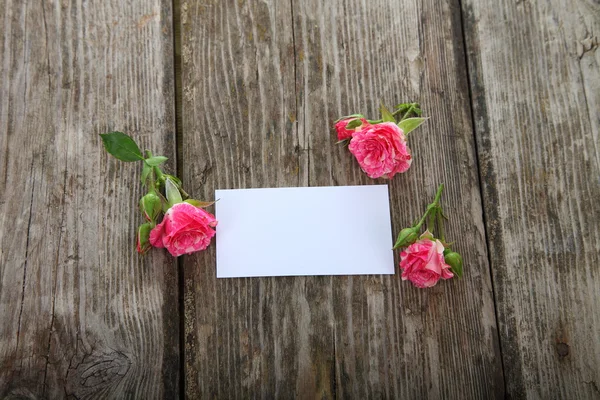 Pink roses and greeting card — Stock Photo, Image