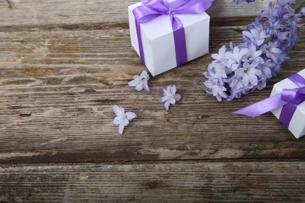 Caixas de presente e jacinto azul — Fotografia de Stock