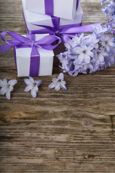 Caixas de presente e jacinto azul — Fotografia de Stock