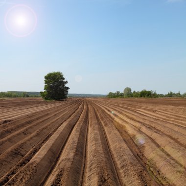 Bahar günü sürülmüş tarlalar