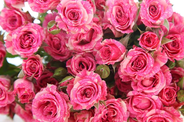 Bouquet of pink roses — Stock Photo, Image