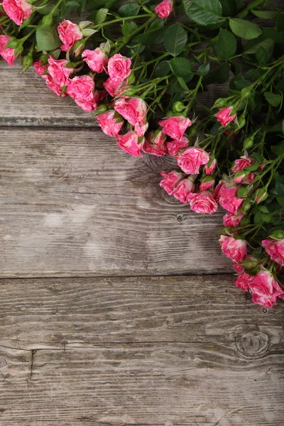 Ramo de rosas rosadas — Foto de Stock