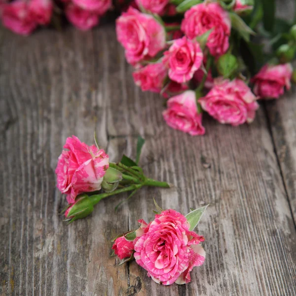 Ramo de rosas rosadas — Foto de Stock