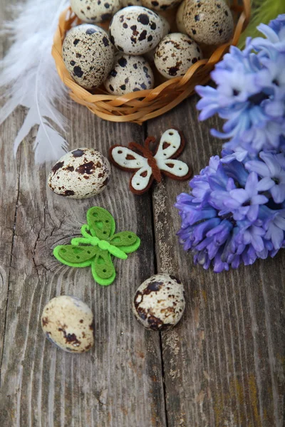 Easter composition with quail eggs and hyacinth — Stock Photo, Image