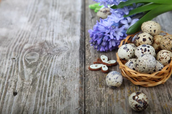 Easter composition with quail eggs and hyacinth — Stock Photo, Image