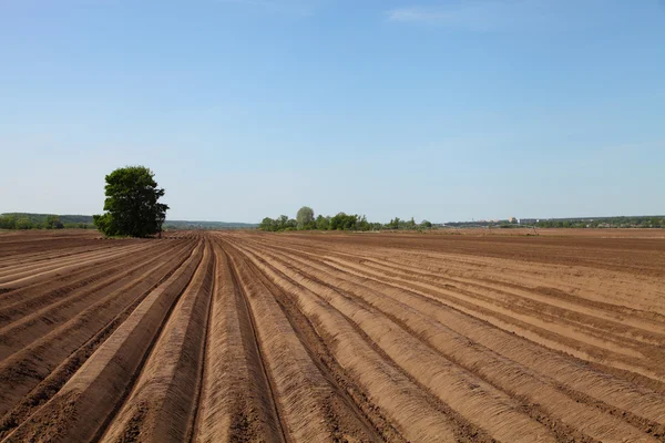 Gepflügtes Feld im Frühling — Stockfoto