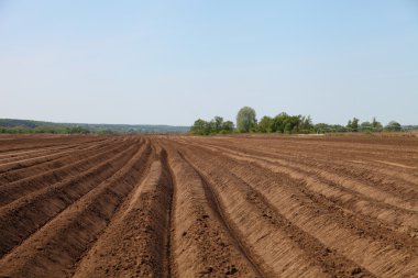Bahar günü sürülmüş tarlalar
