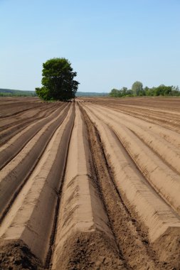 Bahar günü sürülmüş tarlalar