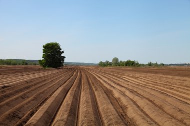 Bahar günü sürülmüş tarlalar
