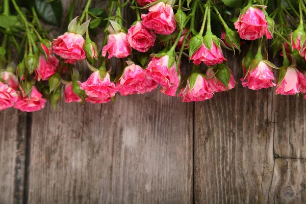 Ramo de rosas rosadas — Foto de Stock