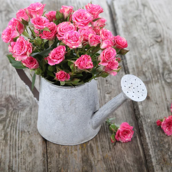 Bouquet of roses in a watering can — Stock Photo, Image