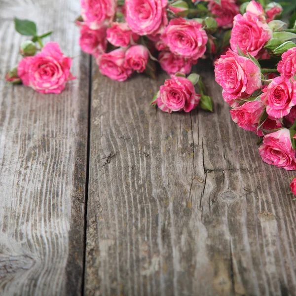 Strauß rosa Rosen — Stockfoto