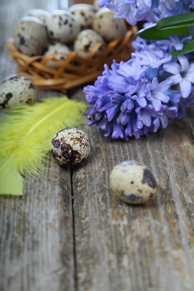 Пасхальная композиция с перепелиными яйцами и гиацинтом — стоковое фото