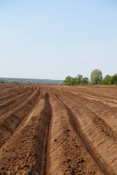 Gepflügtes Feld im Frühling — Stockfoto