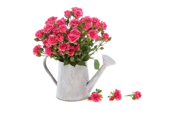 Bouquet of roses in a watering can — Stock Photo, Image