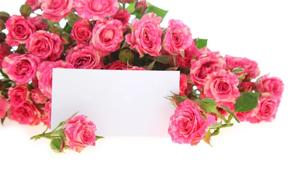 Pink roses and greeting card — Stock Photo, Image