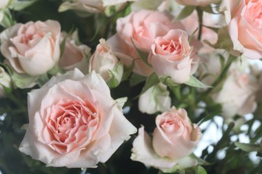 Bir buket güzel pembe gül 