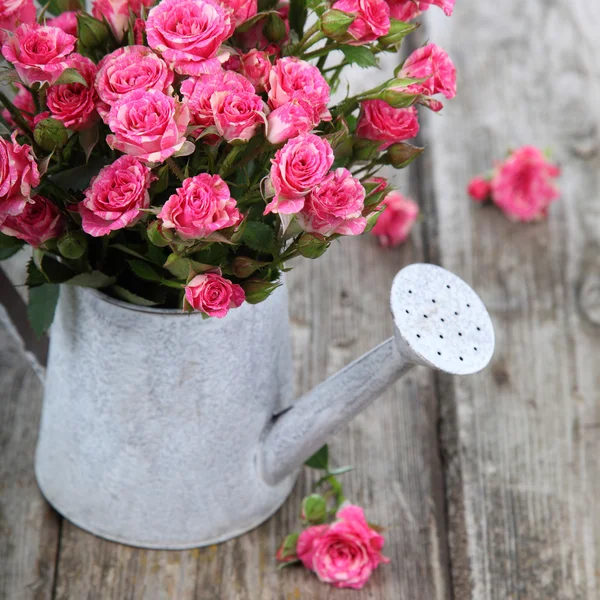Bouquet of roses in a watering can — Stock Photo, Image