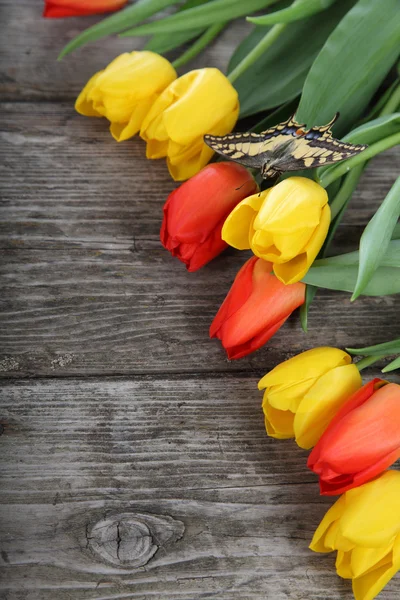 Strauß Tulpen — Stockfoto