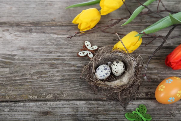 Pâques nature morte avec des œufs dans le nid — Photo