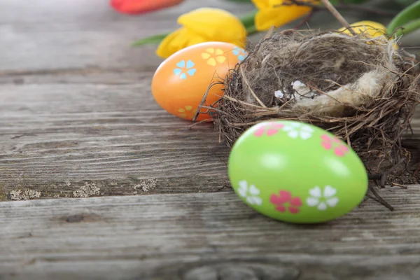 Easter composition with nest and eggs — Stock Photo, Image