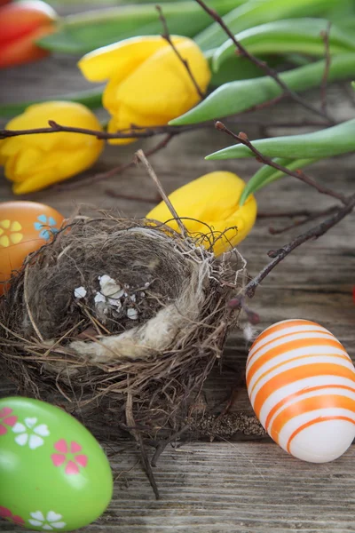 Composition de Pâques avec nid et œufs — Photo