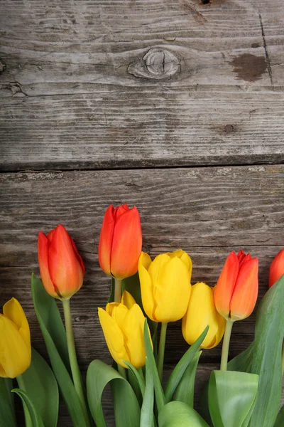 Strauß Tulpen — Stockfoto