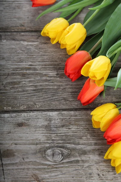 Bouquet of tulips — Stock Photo, Image