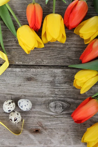 Великодня композиція з тюльпанами — стокове фото