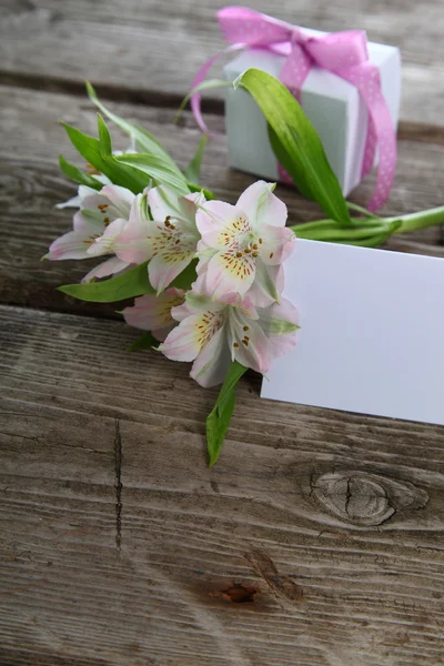 Alstroemeria blanca y regalos —  Fotos de Stock