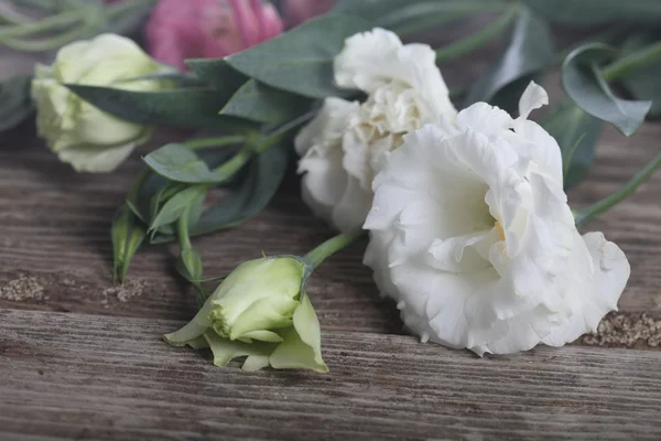 Μπουκέτο με λουλούδια eustoma — Φωτογραφία Αρχείου