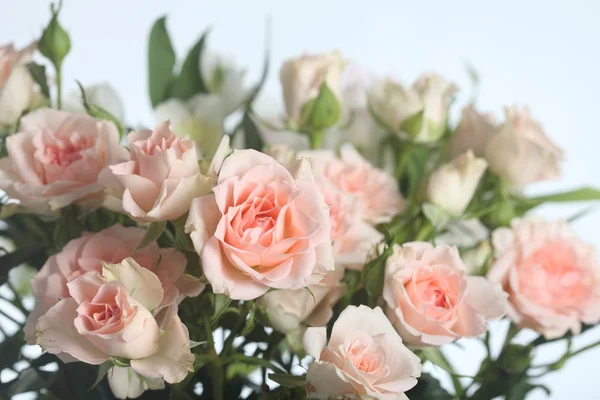 아름다운 분홍빛 장미 꽃다발 — 스톡 사진
