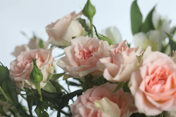 Bouquet of beautiful pink roses — Stock Photo, Image