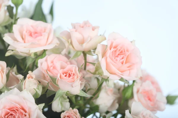 Ramo de hermosas rosas rosadas — Foto de Stock