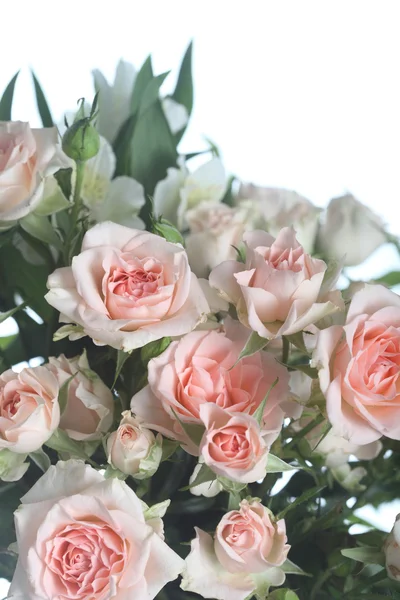 一束美丽的粉红玫瑰 — 图库照片