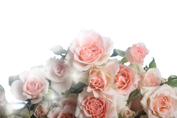 Boeket van mooie roze rozen — Stockfoto