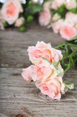 Bir buket pembe gül.