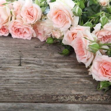 Bir buket pembe gül.