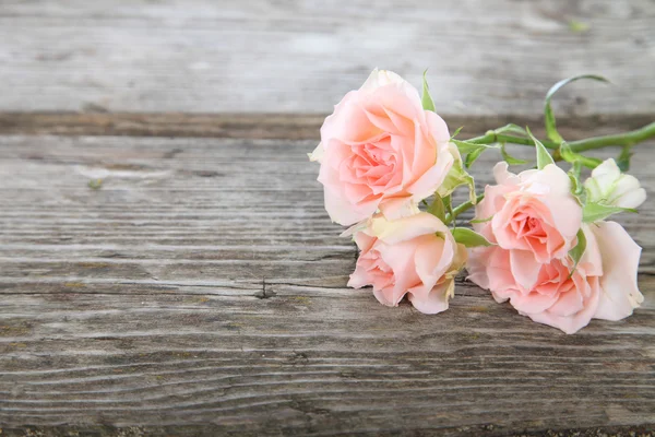 ピンクのバラの花束 — ストック写真