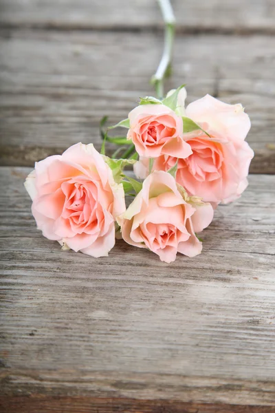 Buquê de rosas rosa — Fotografia de Stock
